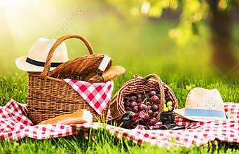 Picnic on a Sunny Day