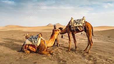 Yazd, Iran - April 25, 2018: Local Iranian man next to two camels in Yazd, Iran