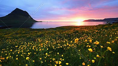 Fantastic sunset in Iceland, a sharp-mountain mountain and a pink sky make an incredible picture