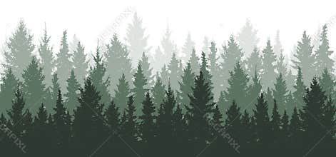 Forest background, nature, landscape
