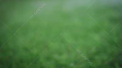 Soccer ball rolls in a fog slowly