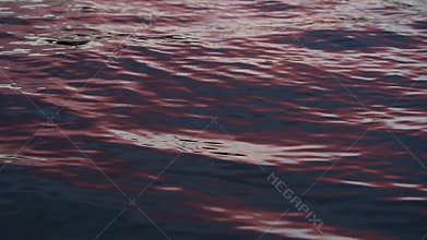 Atlantic ocean with red bloody water on a sunny day.