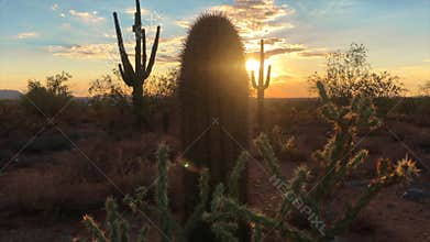 Scottsdale Arizona desert sunset