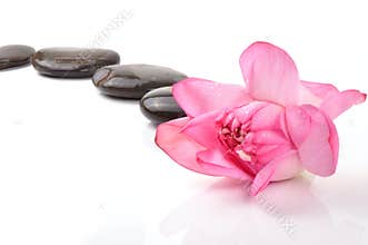 Spa stones