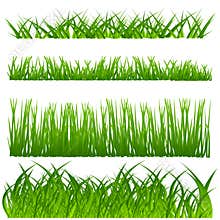 Grass decoration set