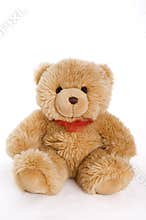 Teddy bear