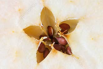 Macro of Apple Seeds