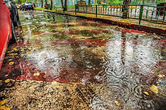 Beautiful background of wet asphalt with raindrops.