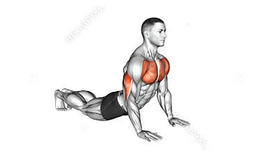 Reverse dip exercise