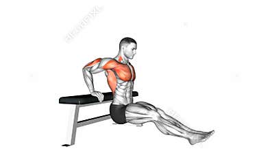 Bench dip on floor exercise