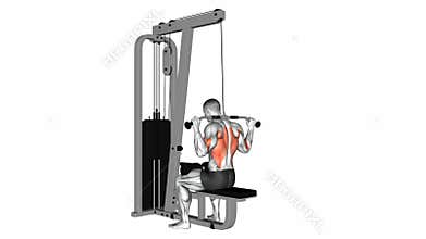Cable Rear Pulldown exercise