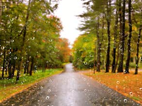 Road in the autumn on a rainy day