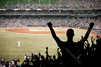 Baseball Fan Celebration