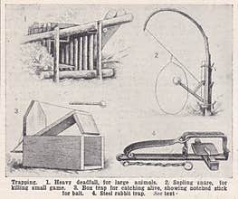 Vintage illustrations of Trapping 1930s