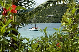 Virgin Islands View