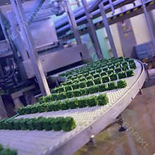 Frozen Food industry