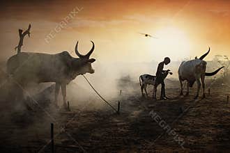Child caring for Mundari`s animals,Mundari tribe, South Sudan, October 2021
