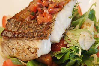 Grilled Fish