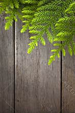 Christmas Tree Wood Background