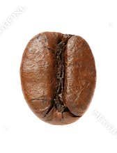 Coffee bean