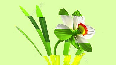 3d glitch of flower narcissus. Seamless looped. NFT concept.
