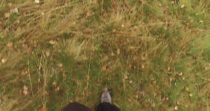man walking outdoor in woods forest with bad weather overcast day. 4k POV overhead on footsteps shot