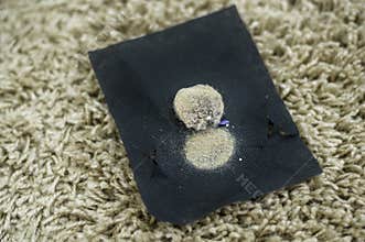 House cleaners is using dust mites remover machine in bed