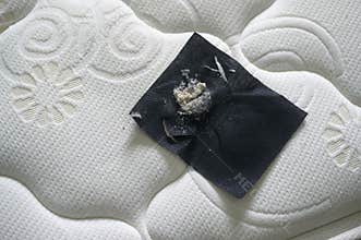 House cleaners is using dust mites remover machine in bed