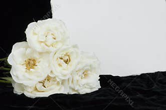 Sympathy card and white roses with copy space.