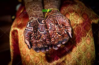 Henna Tattoo Hands