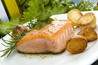 Salmon