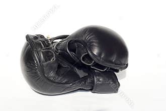 MMA Gloves