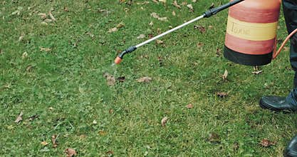 Man takes poison sprayer, protective mask and sprays toxin