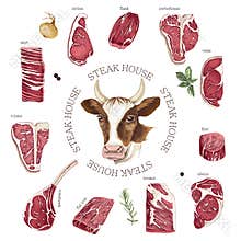 Hand drawn meat elements set. Steak cuts set.