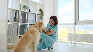 Dog and cat in veterinary clinic