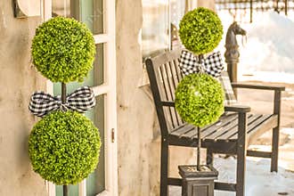 Topiary Plants with Buffalo Plaid Bows  Front Porch