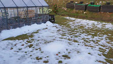 Beautiful view of small garden in greenhouse and pallet collars of snowy front yard on sunny spring day.