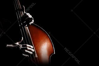 Double bass. Hands playing contrabass player