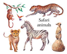 African fauna set