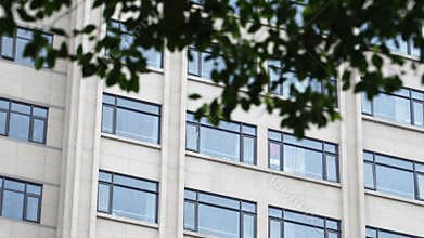 Closeup of appearance of Chinese apartment, low-angle shot of windows in residential building, branches in the foreground