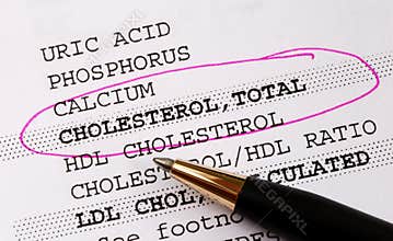 Focus on the cholesterol in a blood test report
