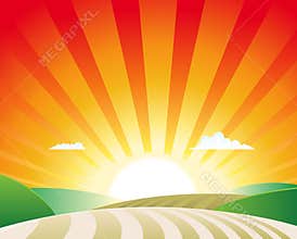 Agriculture Landscape