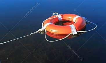 Lifebuoy Ring