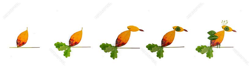 leaf clip art , autumn nature art project for kids, DIY,