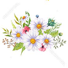 Watercolor daisy bouquet, hand painted daisy bouquets, daisy flower arrangement. Wedding invitation clipart elements. Watercolor