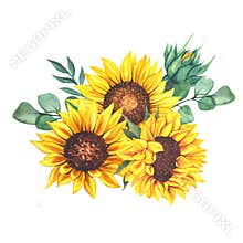 Watercolor sunflowers bouquet, hand painted sunflower bouquets, sunfower flower arrangement. Wedding invitation clipart elements.