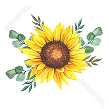 Watercolor sunflowers bouquet, hand painted sunflower bouquets, sunfower flower arrangement. Wedding invitation clipart elements.