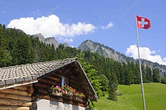 Heidi Alp in Maienfeld, Switzerland