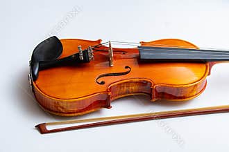 violin on a white background music classic