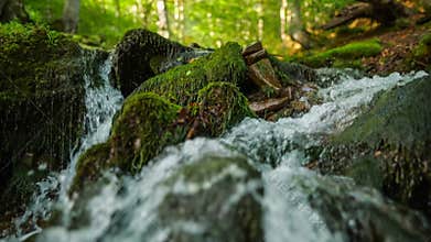Purest mountain river in the forest. Stream of